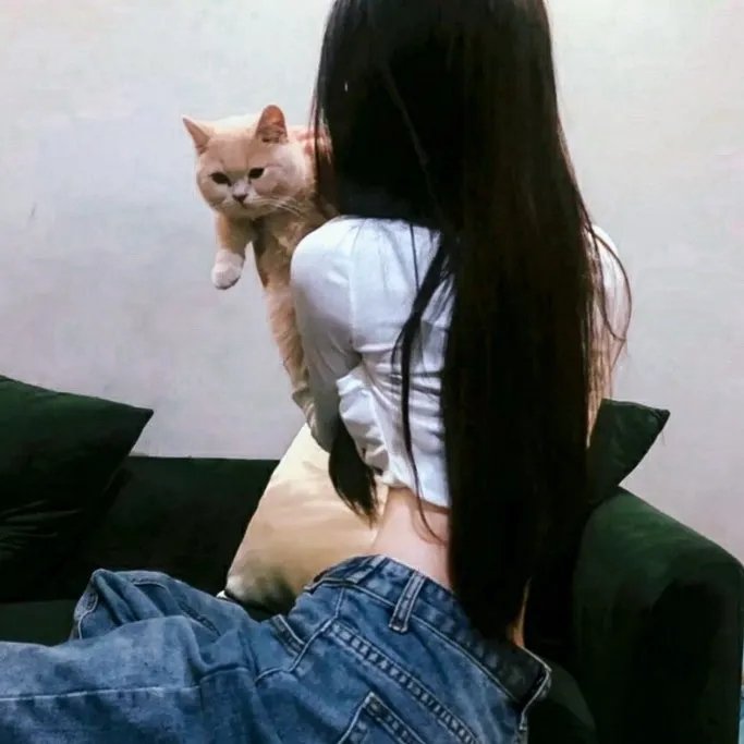 计高一筹 在线观看封面
