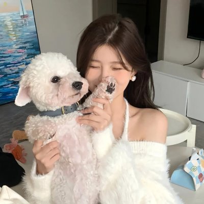 完美犯罪 在线观看封面