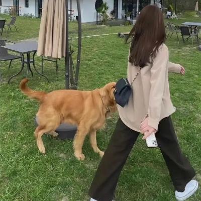 走投无路 在线观看封面