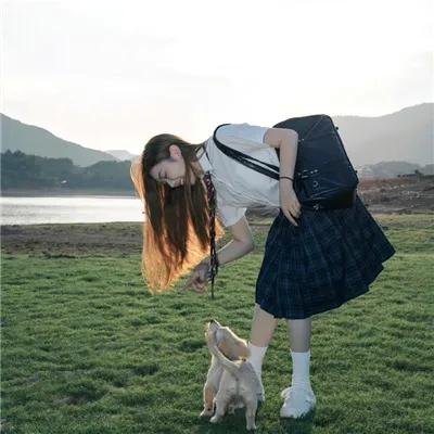 真假学园 在线观看封面